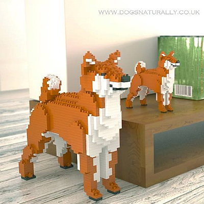 Shiba Inu Jekca Available in 3 Colours & 2 Sizes